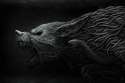 black_dream_by_gloom82.jpg