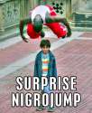 surprisenig.jpg
