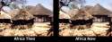 Africa_09c53c_1093277.jpg