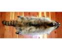moonlight_raccoon_pelt.jpg