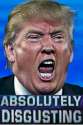 absolutelytrump.png