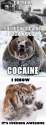 cocaine.jpg