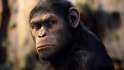 rise_planet_of_the_apes_2012.jpg