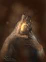 1363304816.nagi-wolf_zombicat_-dafa.jpg