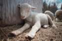 s-in-the-Great-White-North.jpg
