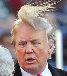 donald-trumps-hair_zpswqc4ev8g.jpg