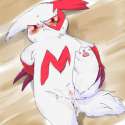 Zangoose114.jpg