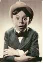 Alfalfa-e1413392760133.jpg