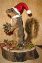 custom-squirrel-mount.jpg