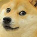 profile_picture_by_doge_meme_plz-d6x47qs.jpg