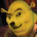 shrek1.jpg