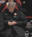 Bean v2.0[2] Arsène Wenger.gif
