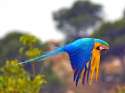 280067186_ebdf817e02.jpg