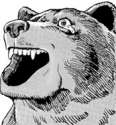 crying bear.jpg