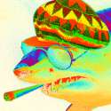 slower_rainbow_sharku.gif