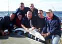 Blue-shark-group.jpg