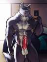 tumblr_nhujsbVs8f1sqol7bo1_500.jpg
