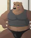 1394567435.mrfurry_1-baz_shirt.jpg