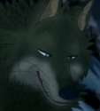 Gabu312.png