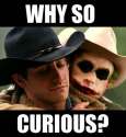 whySoCurious.jpg