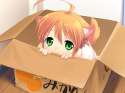 Dog_In_Box.jpg