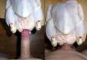 dickturkey.jpg