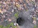 snare-over-burrow.jpg