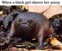 nigger 3.jpg