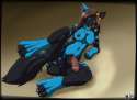 1420755784.sige_dingo-kayle02_fa.jpg