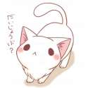 kitteh42.jpg