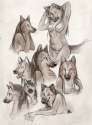 81_1159892409.nimrais_nimmi_sketches.jpg