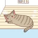 kitteh66.jpg