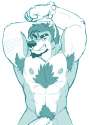 tumblr_nj6ry7JJj41tt9a50o1_500.jpg