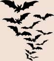 bats in flight.png