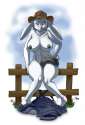 9f8adb87fac4aaa4b7764a671a46ae95.png
