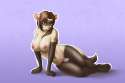 1438144354.tyroo_fem_zlash_male_bits_resized.jpg