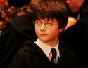 Harry Pothead.jpg