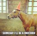 someday.jpg