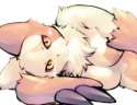 Zangoose37.jpg