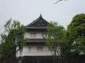 DSC01285.jpg