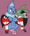 Swoobat3.png
