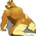1386510666.shiba-kenta_back2.jpg