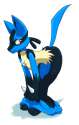 Lucario137.png