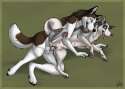 1456360541.hybernation_lobo2lr.jpg