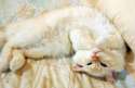 s-come-and-cuddle-with-me.jpg