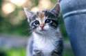 s-Curiosity....jpg