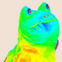 froge.gif