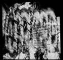 220px-Warlord_Yung_Lean.png