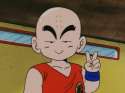 krillin.jpg