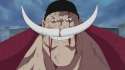 Whitebeard.jpg